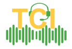 THE TRANSLATION COMPANY GROUP LLC THE TRANSLATION COMPANY GROUP LLC